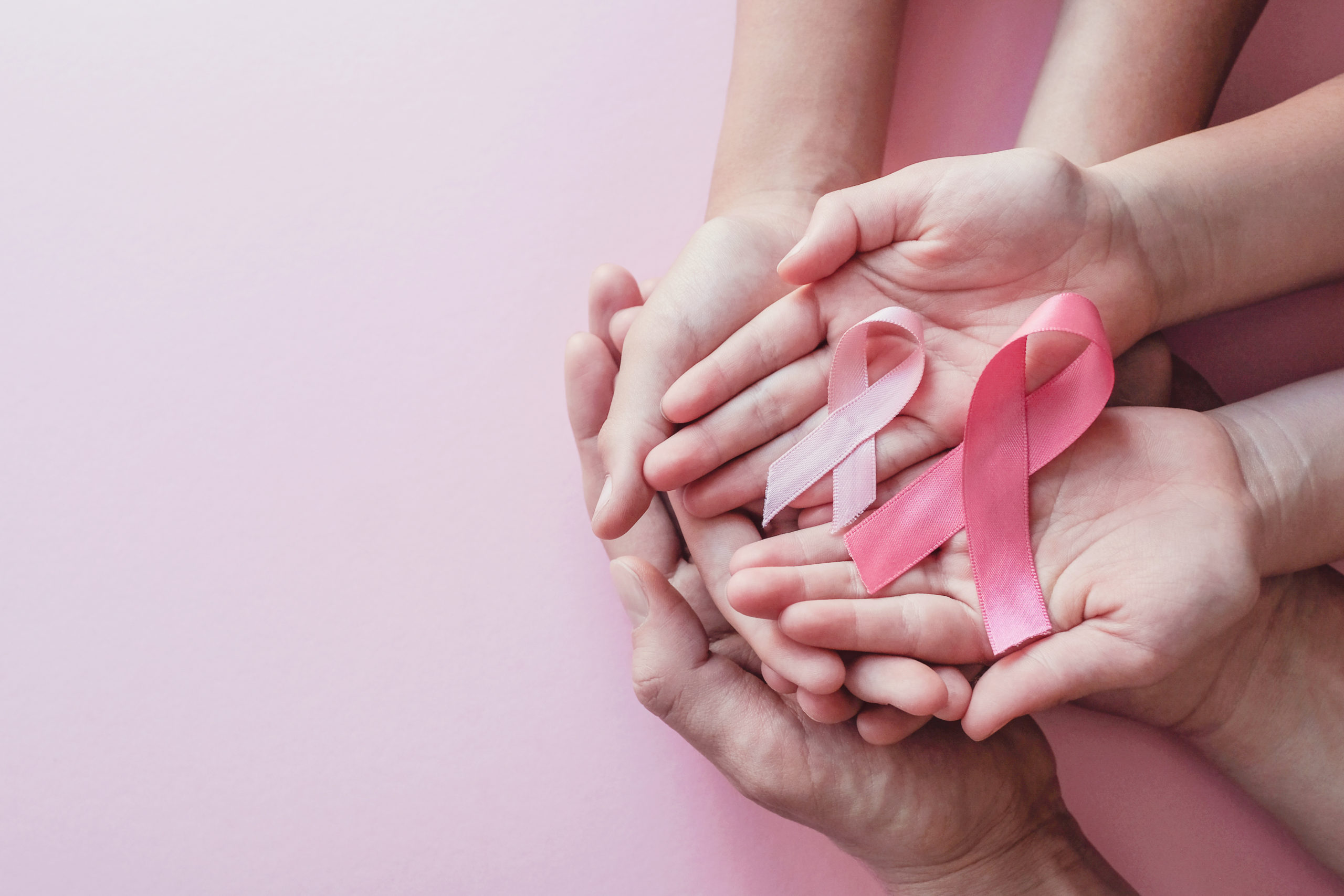 hands holding pink ribbons on pink background, Breast cancer awareness and October Pink day